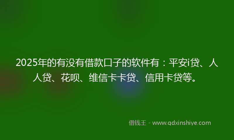 2025年的有没有借款口子的软件有：平安i贷、人人贷、花呗、维信卡卡贷、信用卡贷等。