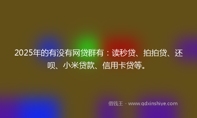 2025年的有没有网贷群有：读秒贷、拍拍贷、还呗、小米贷款、信用卡贷等。