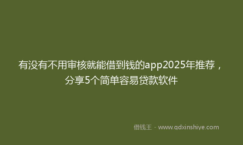 有没有不用审核就能借到钱的app2025年推荐，分享5个简单容易贷款软件