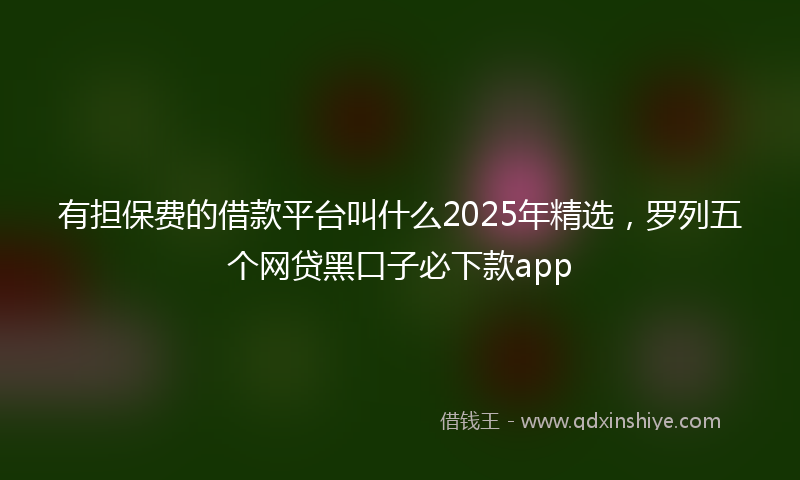 有担保费的借款平台叫什么2025年精选，罗列五个网贷黑口子必下款app