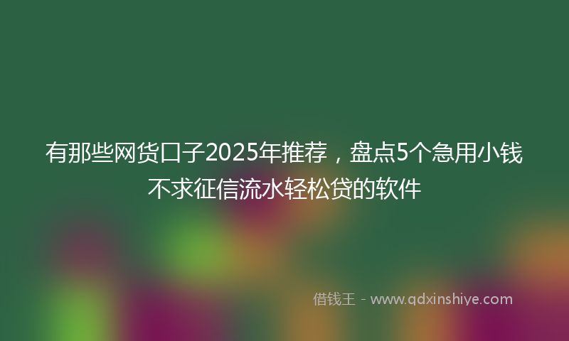 有那些网货口子2025年推荐，盘点5个急用小钱不求征信流水轻松贷的软件