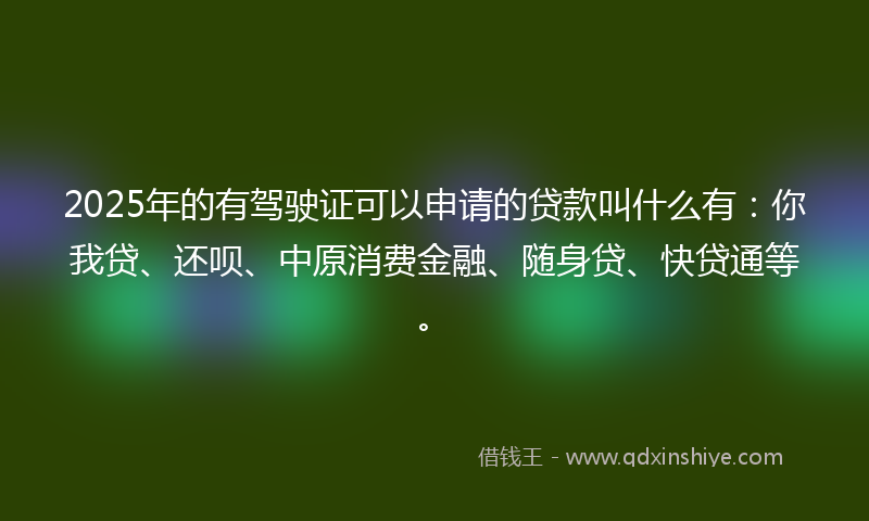 2025年的有驾驶证可以申请的贷款叫什么有：你我贷、还呗、中原消费金融、随身贷、快贷通等。