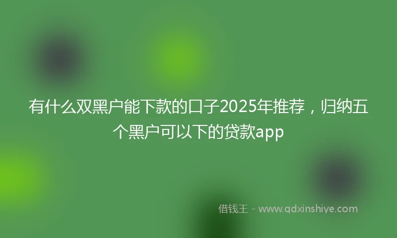有什么双黑户能下款的口子2025年推荐，归纳五个黑户可以下的贷款app