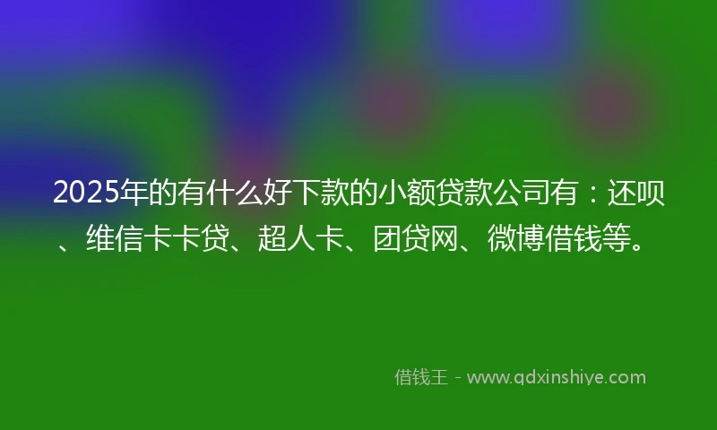 2025年的有什么好下款的小额贷款公司有：还呗、维信卡卡贷、超人卡、团贷网、微博借钱等。