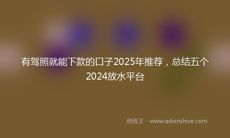 有驾照就能下款的口子2025年推荐，总结五个2024放水平台