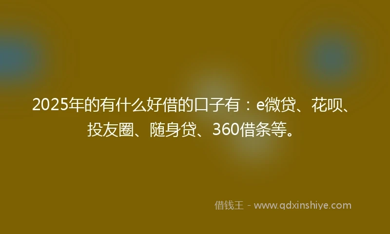 2025年的有什么好借的口子有：e微贷、花呗、投友圈、随身贷、360借条等。