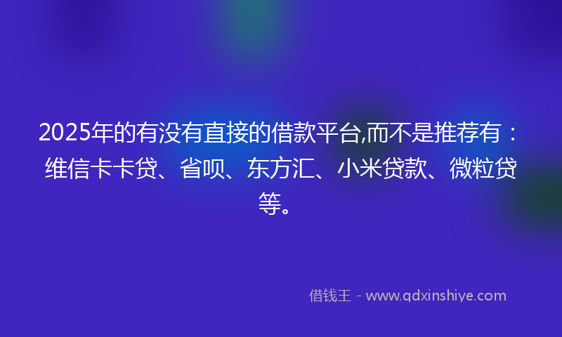 2025年的有没有直接的借款平台,而不是推荐有：维信卡卡贷、省呗、东方汇、小米贷款、微粒贷等。