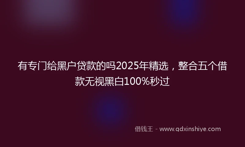 有专门给黑户贷款的吗2025年精选，整合五个借款无视黑白100%秒过