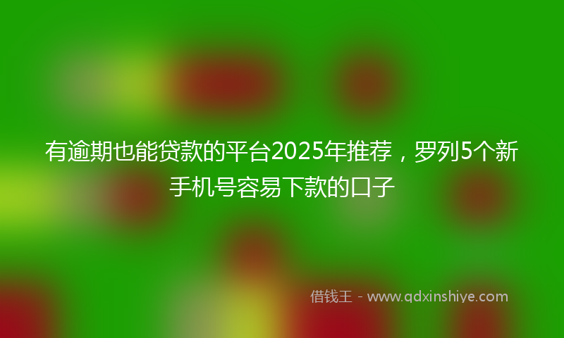 有逾期也能贷款的平台2025年推荐，罗列5个新手机号容易下款的口子