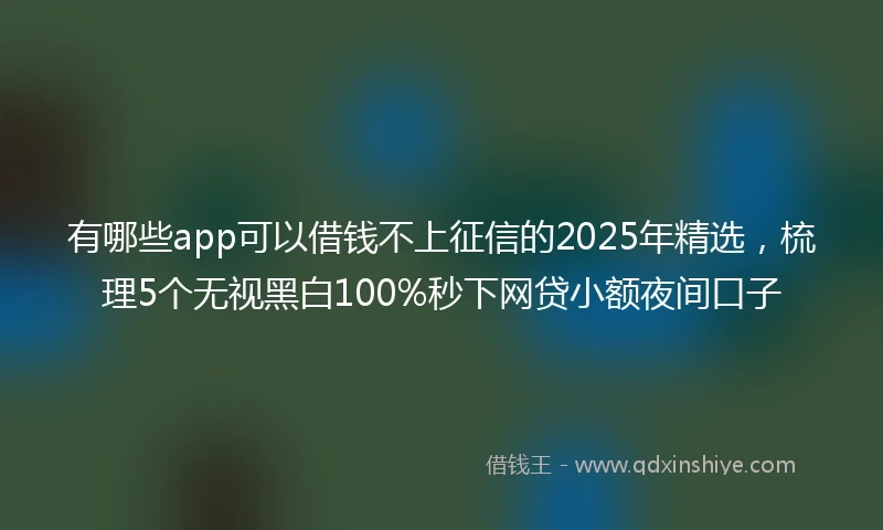 有哪些app可以借钱不上征信的2025年精选，梳理5个无视黑白100%秒下网贷小额夜间口子