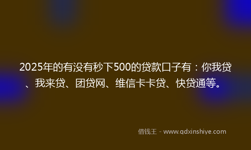 2025年的有没有秒下500的贷款口子有：你我贷、我来贷、团贷网、维信卡卡贷、快贷通等。