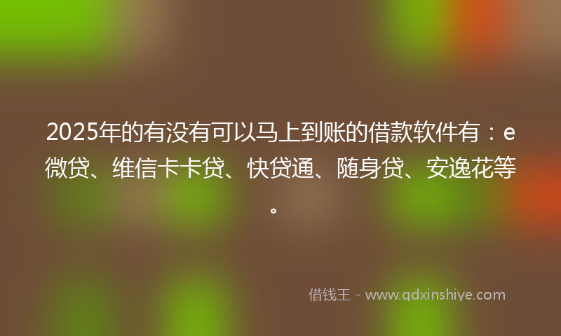 2025年的有没有可以马上到账的借款软件有：e微贷、维信卡卡贷、快贷通、随身贷、安逸花等。