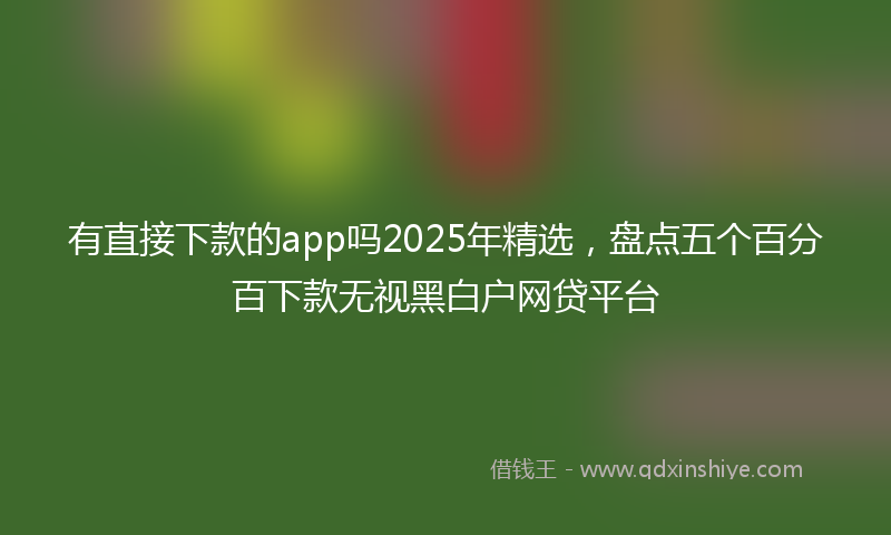 有直接下款的app吗2025年精选，盘点五个百分百下款无视黑白户网贷平台