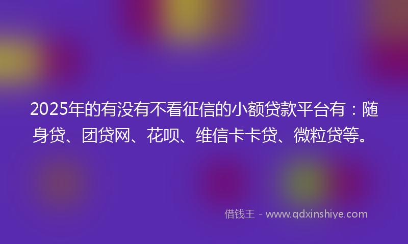 2025年的有没有不看征信的小额贷款平台有：随身贷、团贷网、花呗、维信卡卡贷、微粒贷等。
