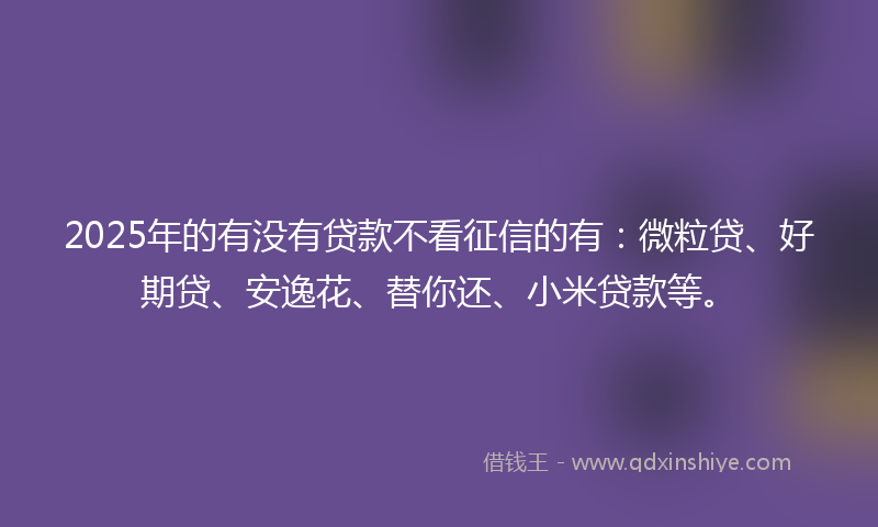 2025年的有没有贷款不看征信的有：微粒贷、好期贷、安逸花、替你还、小米贷款等。
