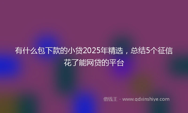 有什么包下款的小贷2025年精选，总结5个征信花了能网贷的平台