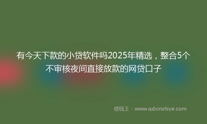有今天下款的小贷软件吗2025年精选，整合5个不审核夜间直接放款的网贷口子