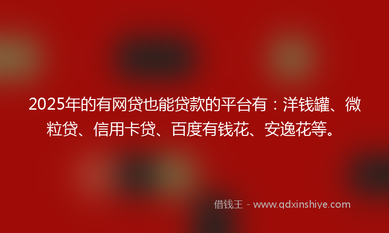2025年的有网贷也能贷款的平台有：洋钱罐、微粒贷、信用卡贷、百度有钱花、安逸花等。