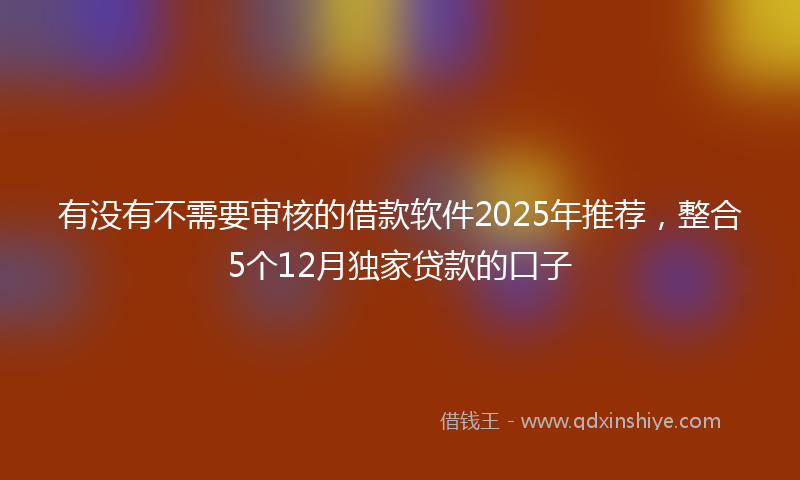 有没有不需要审核的借款软件2025年推荐，整合5个12月独家贷款的口子