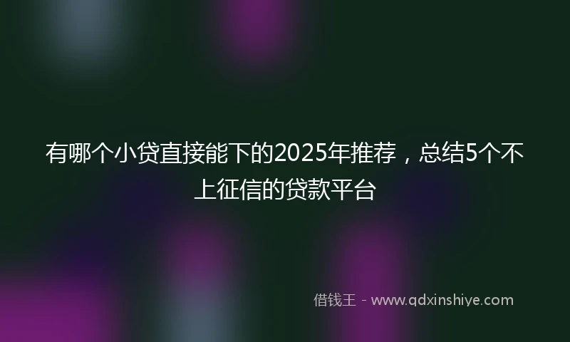 有哪个小贷直接能下的2025年推荐，总结5个不上征信的贷款平台