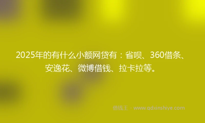 2025年的有什么小额网贷有：省呗、360借条、安逸花、微博借钱、拉卡拉等。