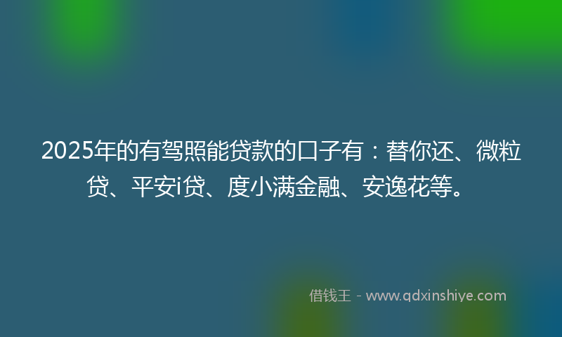 2025年的有驾照能贷款的口子有：替你还、微粒贷、平安i贷、度小满金融、安逸花等。