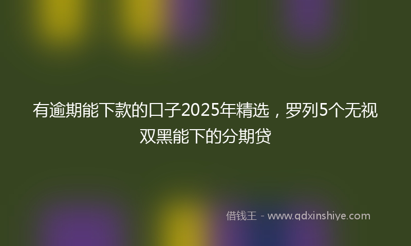 有逾期能下款的口子2025年精选，罗列5个无视双黑能下的分期贷