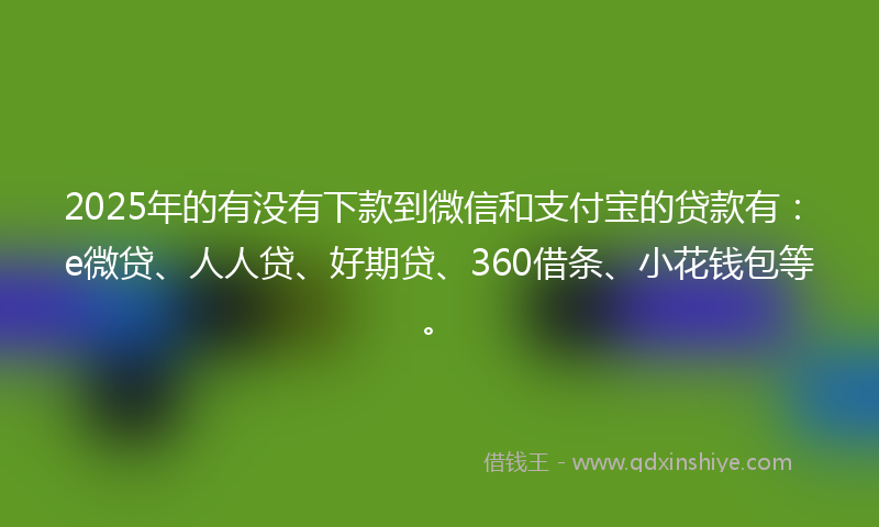 2025年的有没有下款到微信和支付宝的贷款有：e微贷、人人贷、好期贷、360借条、小花钱包等。