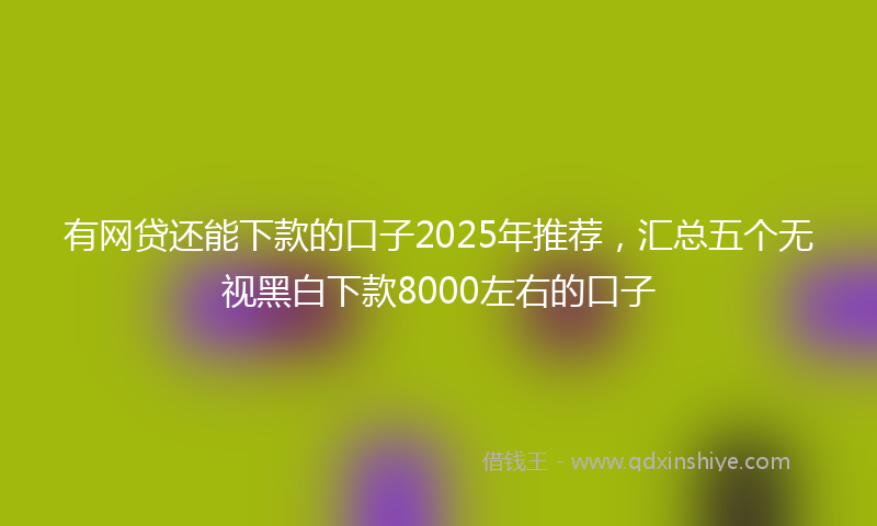 有网贷还能下款的口子2025年推荐，汇总五个无视黑白下款8000左右的口子