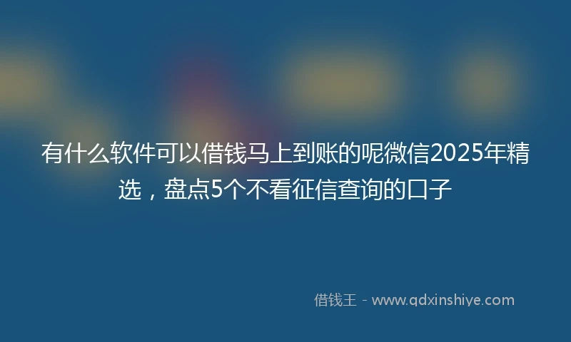 有什么软件可以借钱马上到账的呢微信2025年精选，盘点5个不看征信查询的口子
