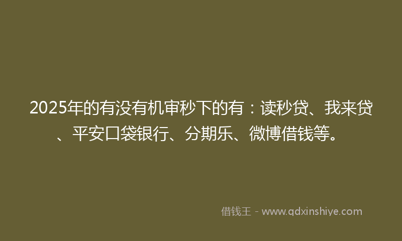 2025年的有没有机审秒下的有：读秒贷、我来贷、平安口袋银行、分期乐、微博借钱等。