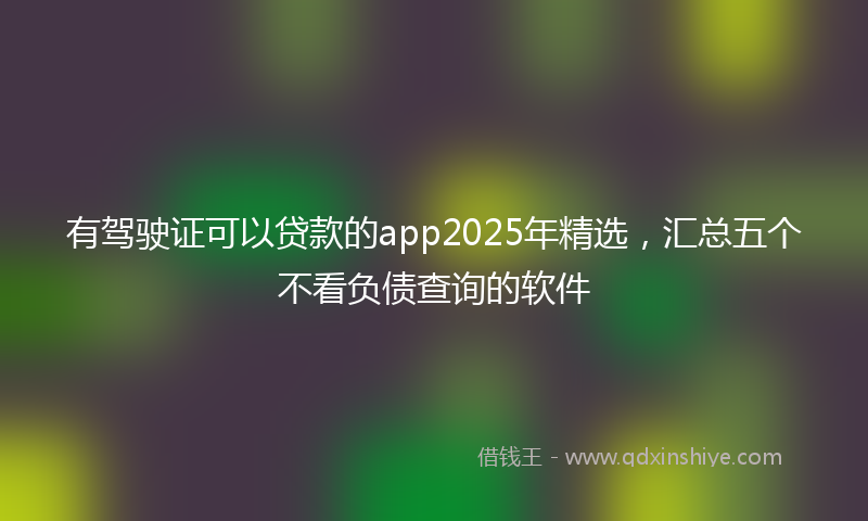 有驾驶证可以贷款的app2025年精选，汇总五个不看负债查询的软件
