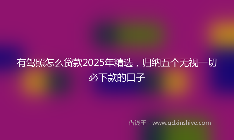 有驾照怎么贷款2025年精选，归纳五个无视一切必下款的口子