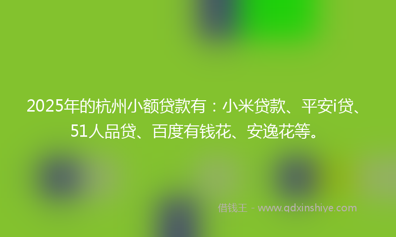 2025年的杭州小额贷款有：小米贷款、平安i贷、51人品贷、百度有钱花、安逸花等。