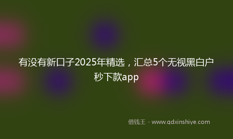 有没有新口子2025年精选，汇总5个无视黑白户秒下款app