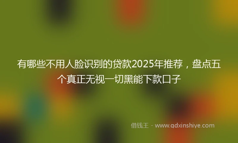有哪些不用人脸识别的贷款2025年推荐，盘点五个真正无视一切黑能下款口子