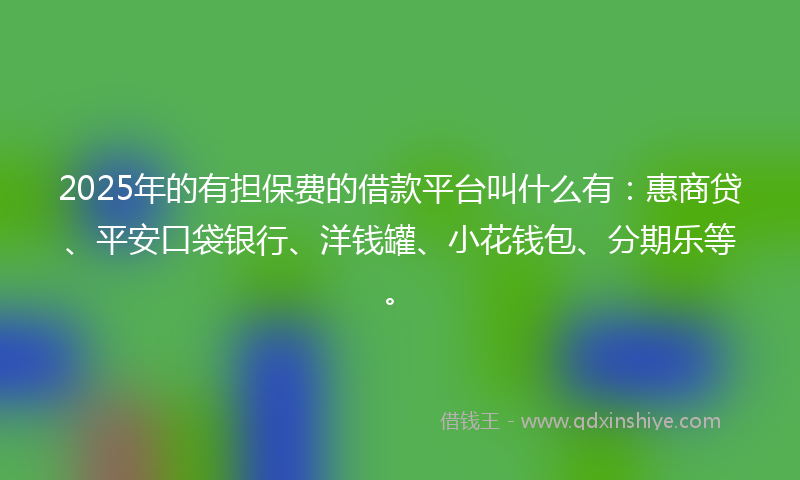 2025年的有担保费的借款平台叫什么有：惠商贷、平安口袋银行、洋钱罐、小花钱包、分期乐等。