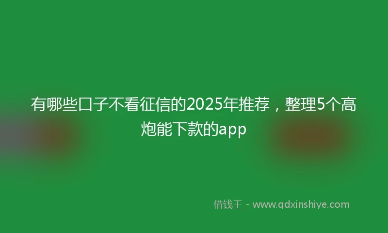 有哪些口子不看征信的2025年推荐，整理5个高炮能下款的app