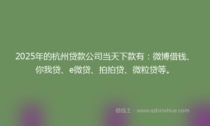 2025年的杭州贷款公司当天下款有：微博借钱、你我贷、e微贷、拍拍贷、微粒贷等。