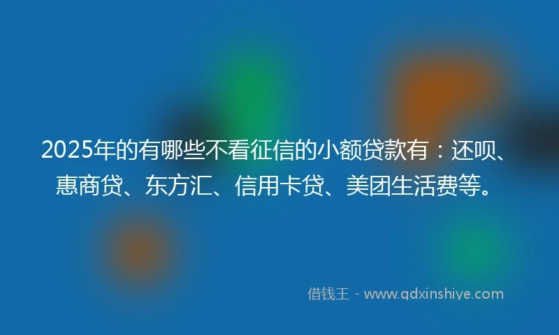 2025年的有哪些不看征信的小额贷款有：还呗、惠商贷、东方汇、信用卡贷、美团生活费等。