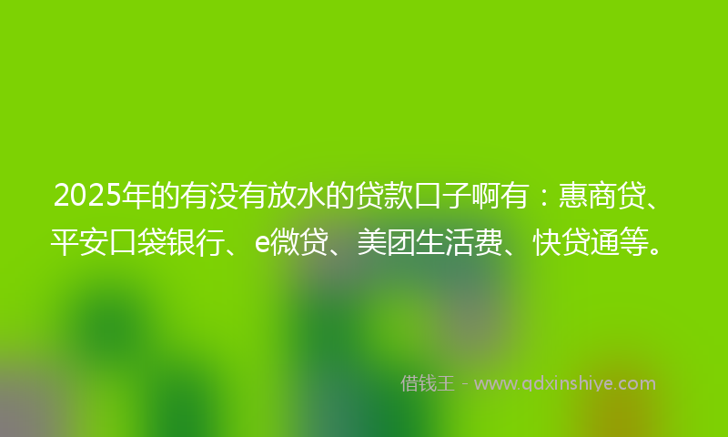 2025年的有没有放水的贷款口子啊有：惠商贷、平安口袋银行、e微贷、美团生活费、快贷通等。