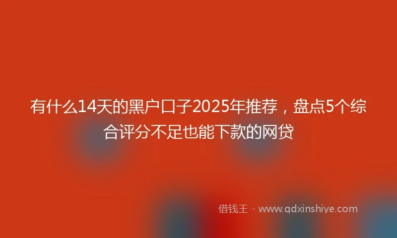 有什么14天的黑户口子2025年推荐，盘点5个综合评分不足也能下款的网贷