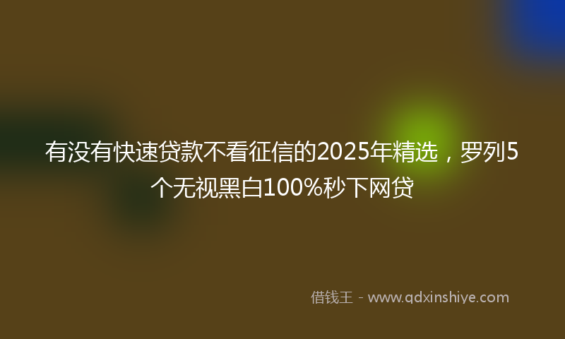 有没有快速贷款不看征信的2025年精选，罗列5个无视黑白100%秒下网贷