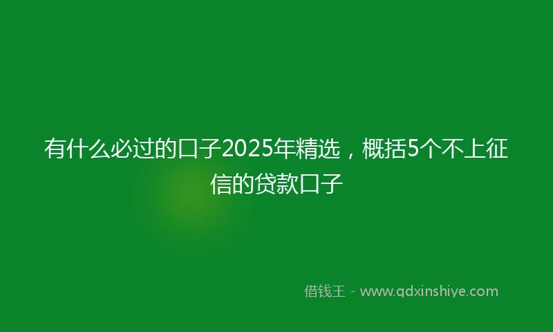 有什么必过的口子2025年精选，概括5个不上征信的贷款口子
