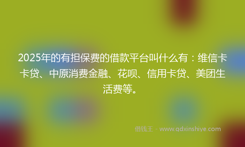 2025年的有担保费的借款平台叫什么有：维信卡卡贷、中原消费金融、花呗、信用卡贷、美团生活费等。