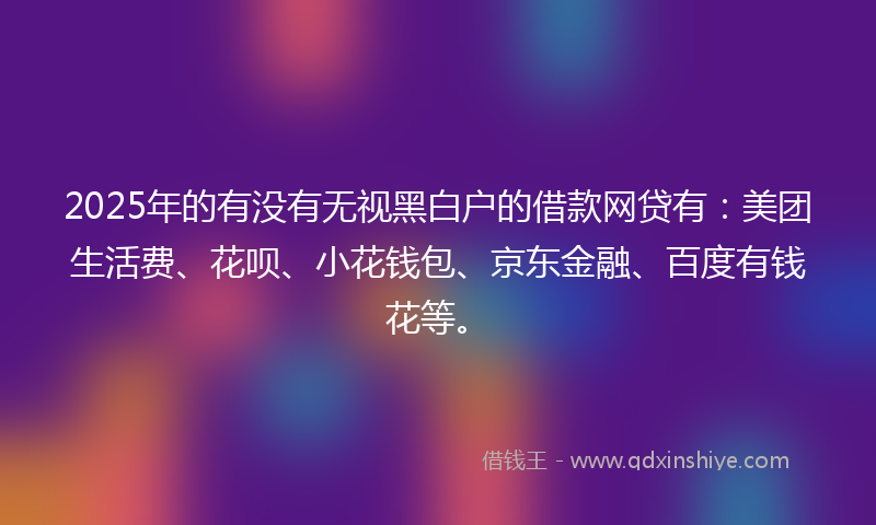 2025年的有没有无视黑白户的借款网贷有：美团生活费、花呗、小花钱包、京东金融、百度有钱花等。