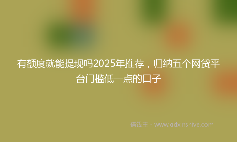 有额度就能提现吗2025年推荐，归纳五个网贷平台门槛低一点的口子