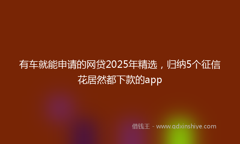 有车就能申请的网贷2025年精选，归纳5个征信花居然都下款的app