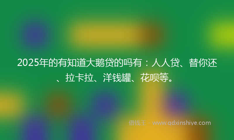 2025年的有知道大鹅贷的吗有：人人贷、替你还、拉卡拉、洋钱罐、花呗等。