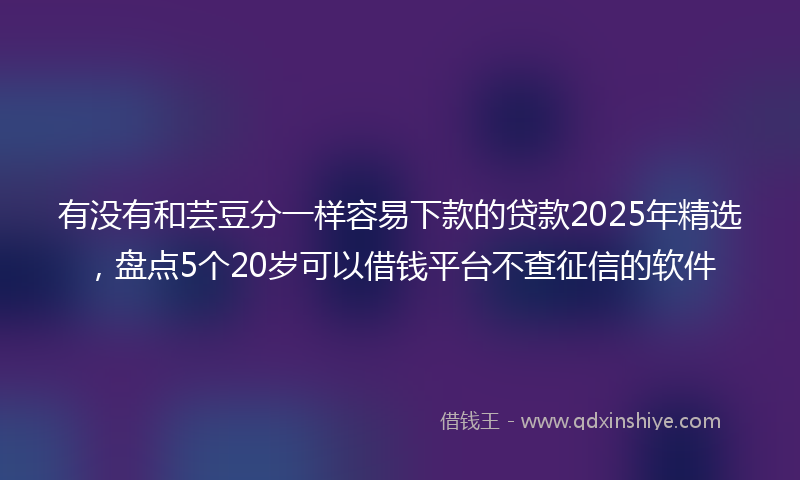 有没有和芸豆分一样容易下款的贷款2025年精选，盘点5个20岁可以借钱平台不查征信的软件